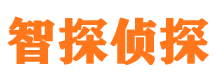 眉山侦探公司